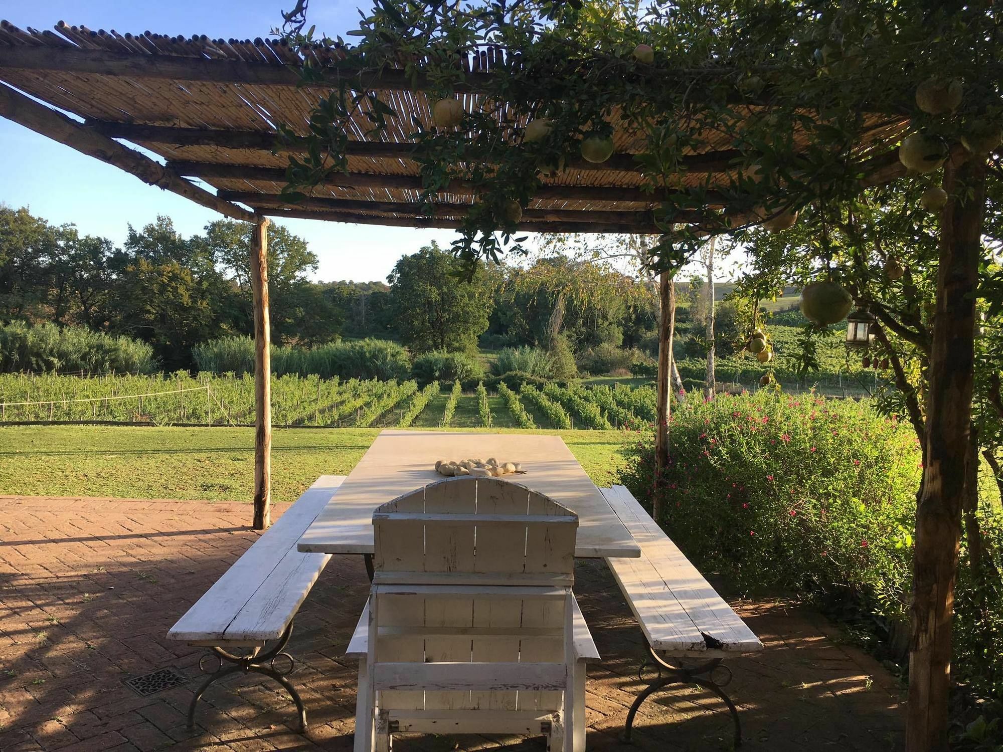 Bed and Breakfast Borgo Del Gelso Ольджиата Экстерьер фото